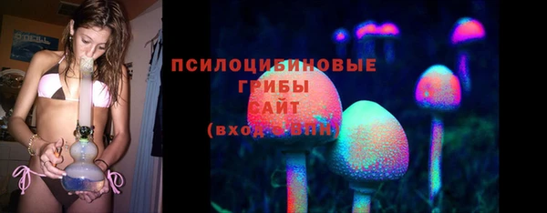гидропоника Каменногорск
