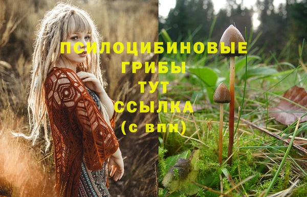 спайс Кинешма