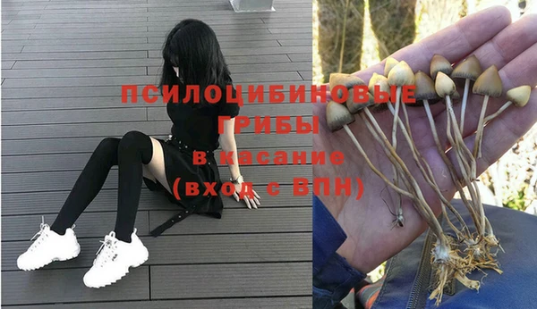 альфа пвп Каменка