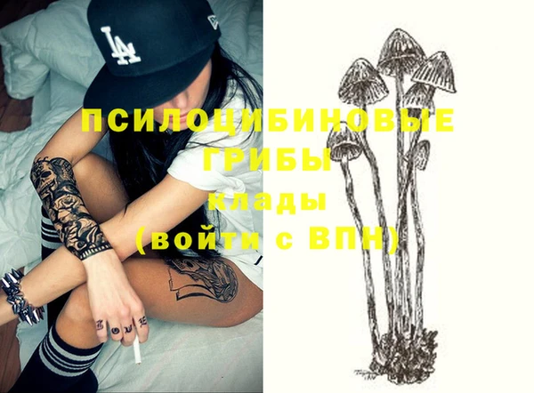 ALPHA-PVP Киреевск