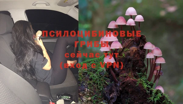гидропоника Каменногорск