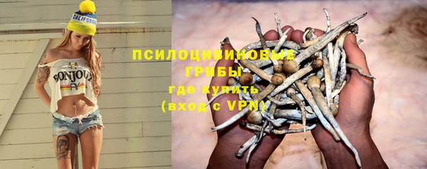 альфа пвп Каменка