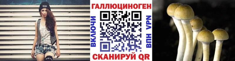 Купить где  Заволжск  Галлюциногенные грибы Magic Shrooms 