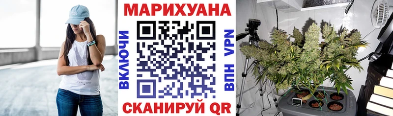 Каннабис индика  Купить где  Заволжск 